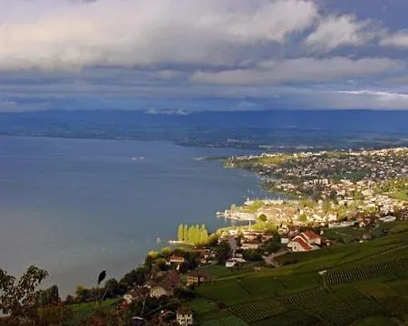 Lavaux